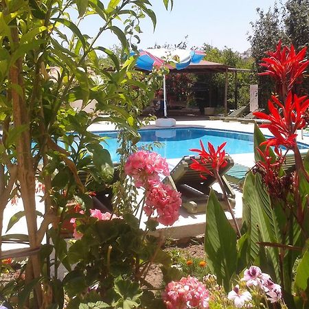 Paradise Garden Gumusluk Evleri Aparthotel Eksteriør bilde