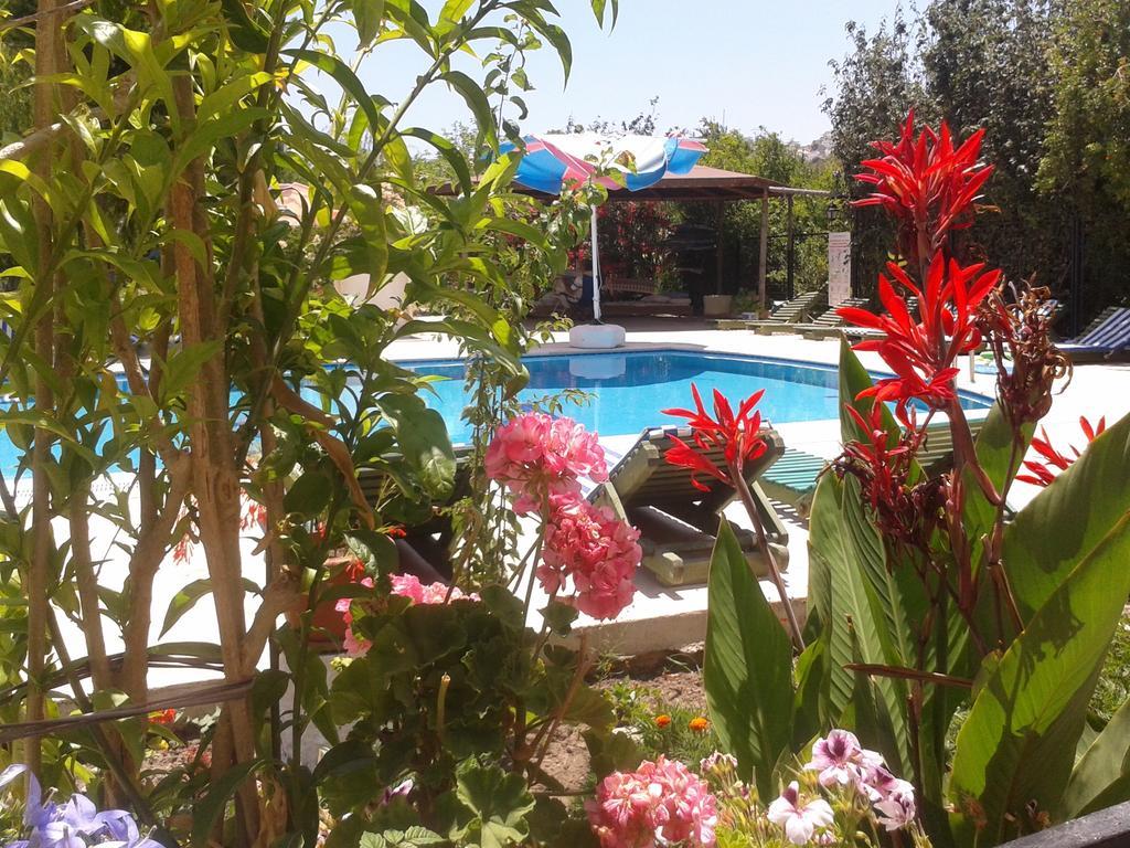 Paradise Garden Gumusluk Evleri Aparthotel Eksteriør bilde